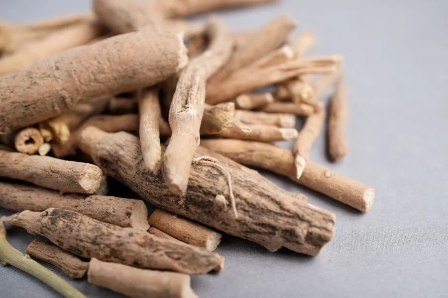 Ashwaghanda root used in neutraceuticals